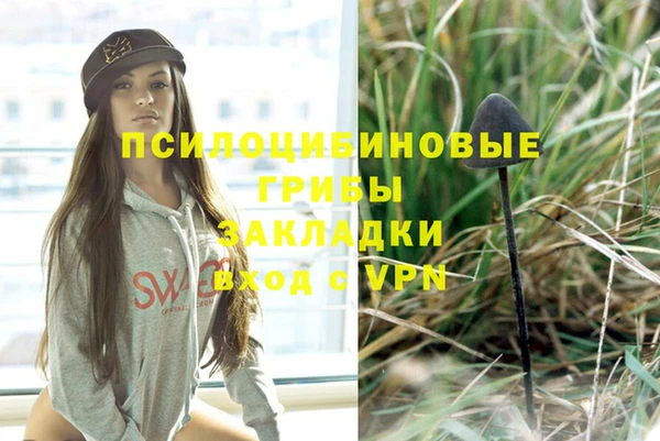 амф Арсеньев