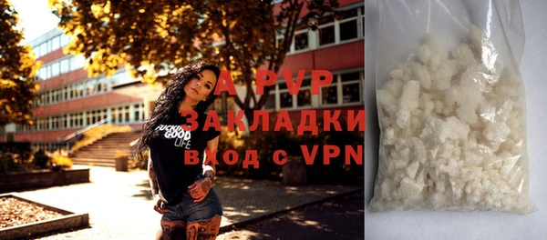 амф Арсеньев